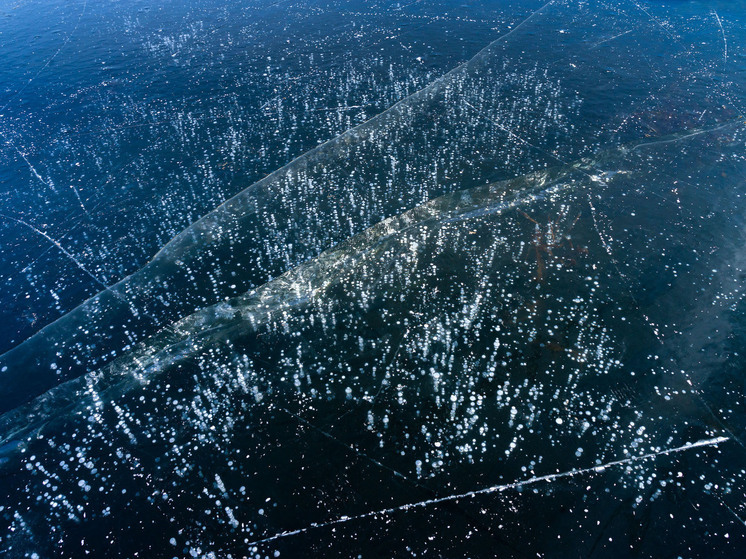 В Челябинской области с замершего водоема спасли домашнего гуся