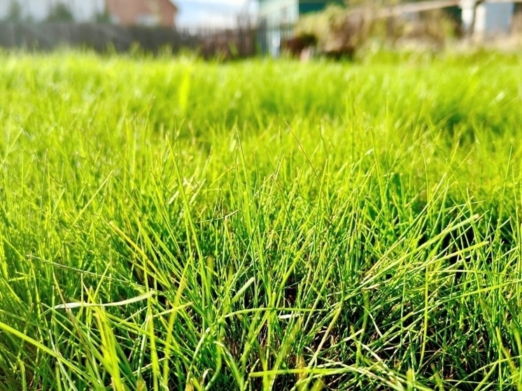 Росреестр объяснил тулякам, чем грозит нецелевое использование земли