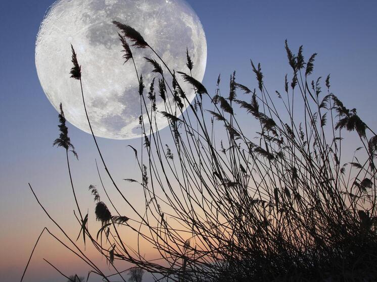 Астрономы: небесное тело будет отлично видно уже  с 18.00