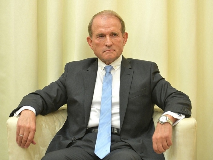 Медведчук: при заморозке конфликта нацисты на Украине перенесут его вглубь страны