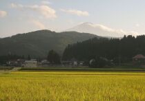 Министерство обороны Японии направило в среду войска в северную префектуру Акита, чтобы помочь сдержать волну нападений медведей, которые привели в ужас жителей этого горного региона