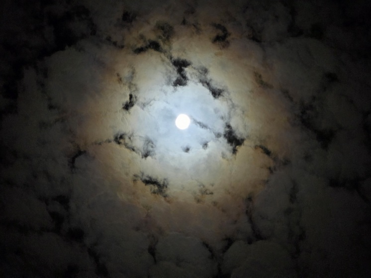 Сегодня, 5 ноября, ожидается самая большая полная Луна года, которую смогут наблюдать жители Краснодарского края