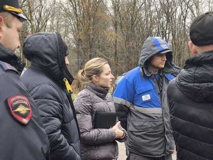 Мусорный тупик: власти Тамбова и садоводы ищут выход из заваленной отходами зоны у лесопарка «Дружба»