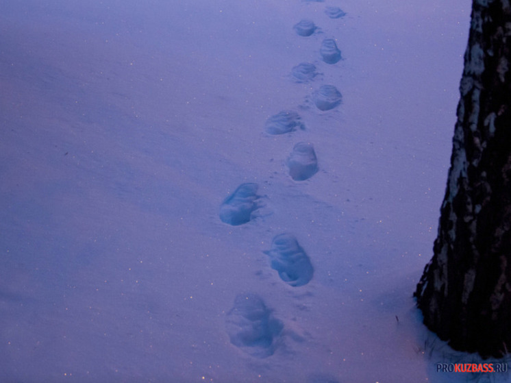 Снег и -14 градусов ожидаются в Кузбассе