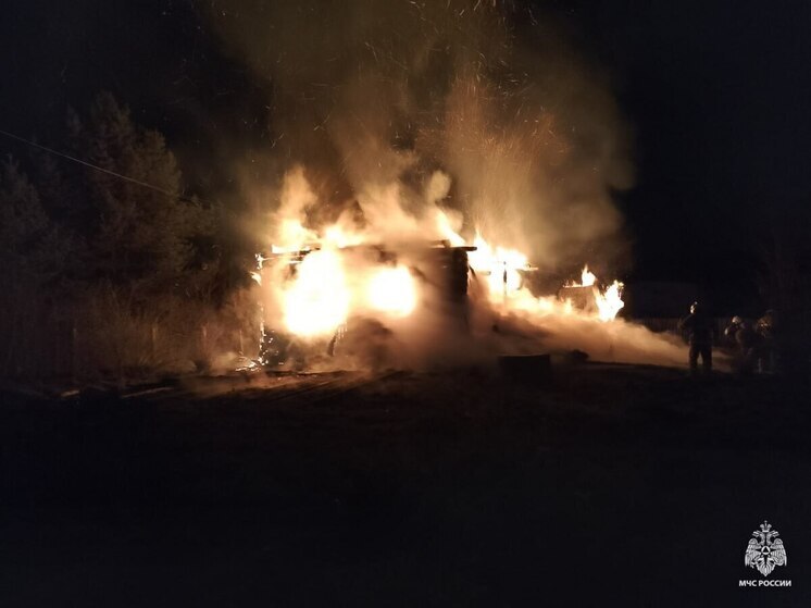 Деревенский дом сгорел дотла в Тверской области