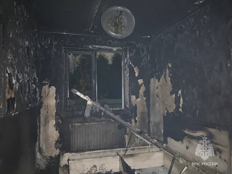 Калининградские пожарные спасли полсотни человек