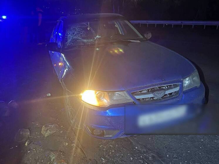 На трассе «Кола» 19-летний водитель сбил человека