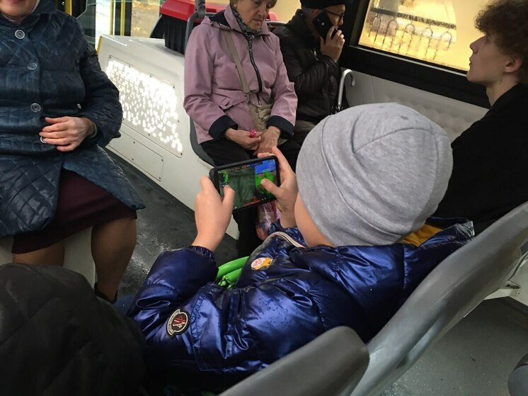 Саратовским родителям разъяснили правила цифровой безопасности детей