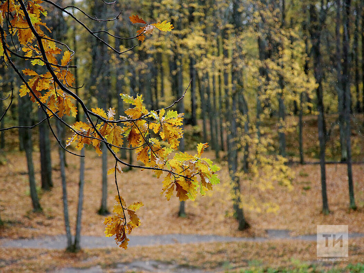 В Татарстане температуры во второй половине недели превысят норму на 6 градусов