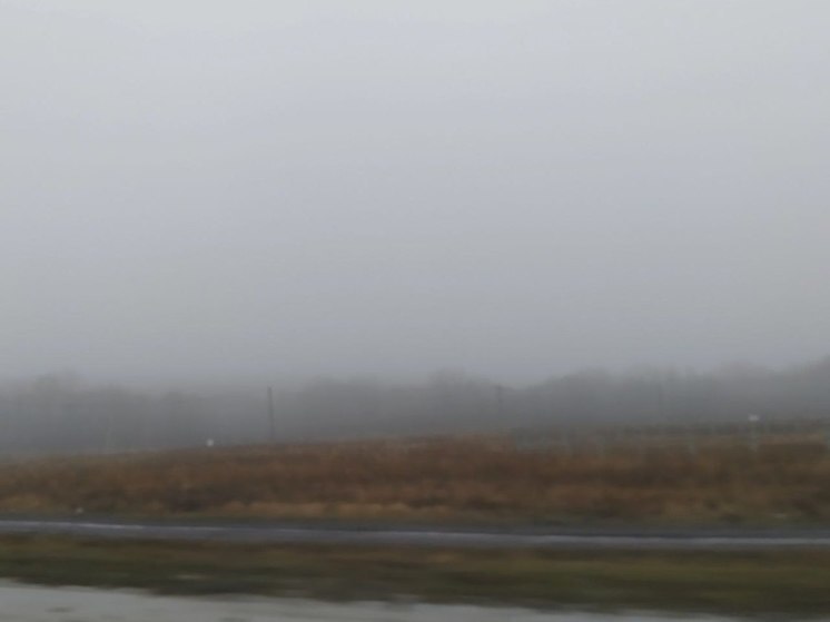 Белгородскую область накроет туман 6 ноября