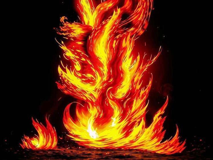 Сотрудники полиции потушили горящий автомобиль на КПП в Дагестане