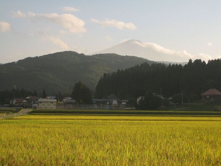 Министерство обороны Японии направило в среду войска в северную префектуру Акита, чтобы помочь сдержать волну нападений медведей, которые привели в ужас жителей этого горного региона
