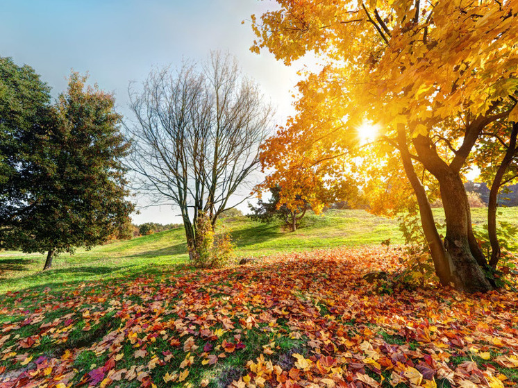 16 градусов тепла прогнозируют в Херсонской области 6 ноября