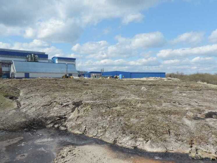 Воронежский сахарный завод обязан выплатить 4,3 млн рублей за загрязнение почвы отходами производства