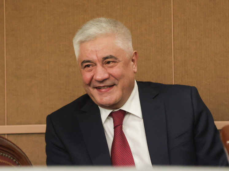 Владимир Колокольцев выступил на конференции Ассоциации национальных полиций стран АСЕАН