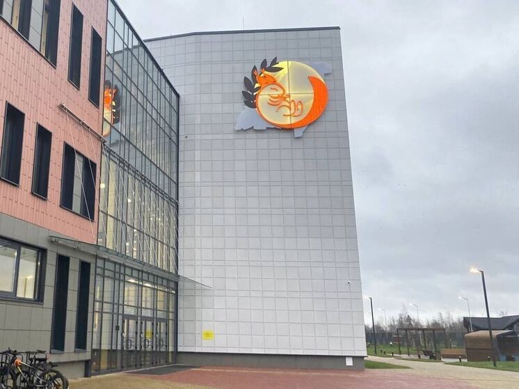 Новую школу на 825 мест торжественно открыли в Новоселье