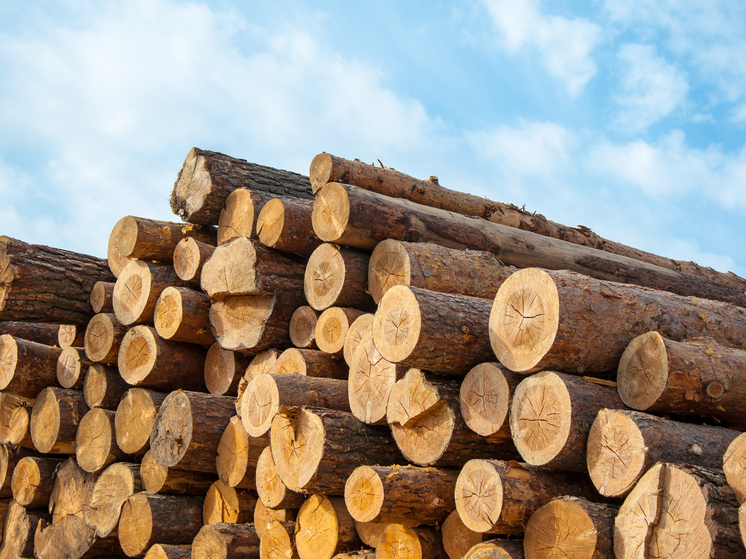 Из Архангельской области на экспорт отправлено более 1,39 млн кубометров древесины