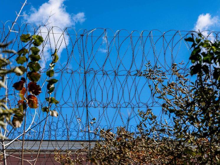 В Челябинской области 18-летнего иностранца будут судить за мошенничество