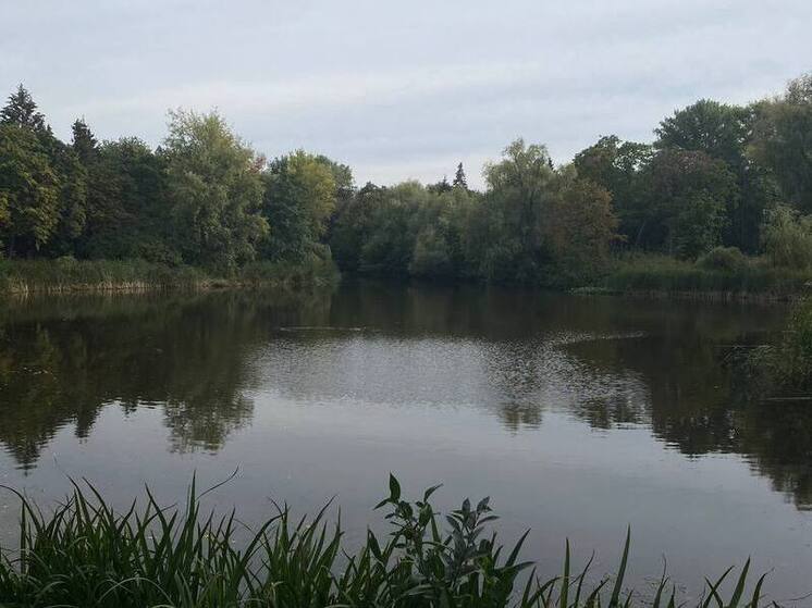 В Самаре сократили время работы Ботанического сада