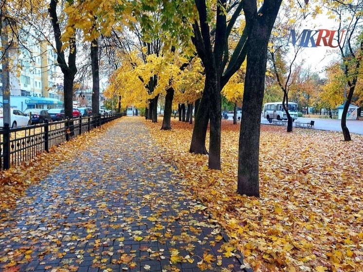 Калужанам пообещали тёплую и сухую неделю