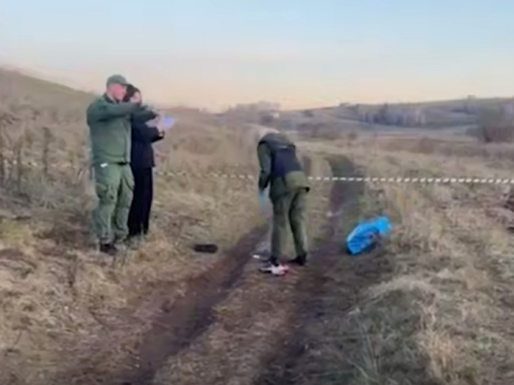 Трех собак из стаи, растерзавшей ребенка, отловили в Красноярском каре