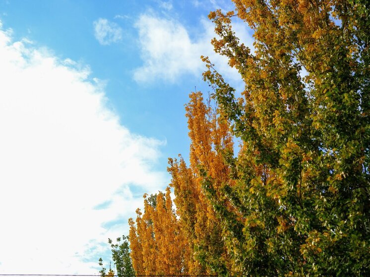 В Волгоградской области экологи проверили радиационную обстановку