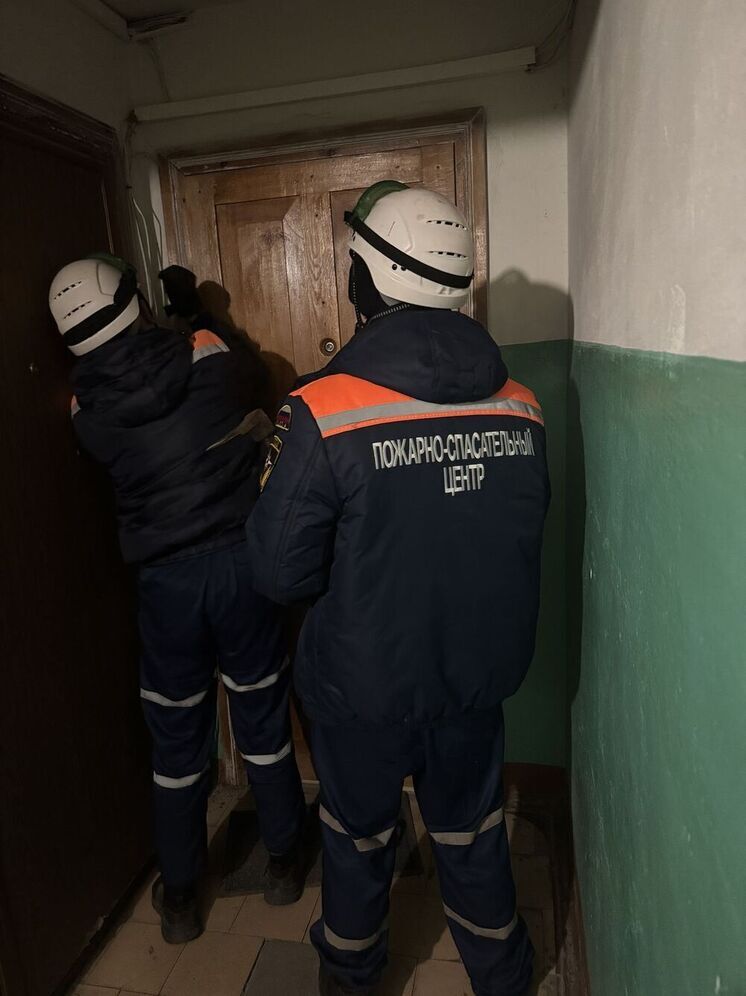 Пензенские спасатели пришли на помощь пенсионерке, не выходившей на связь