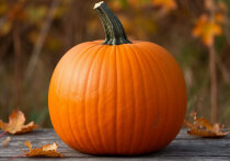 Яркая, солнечная тыква — настоящая королева осеннего урожая