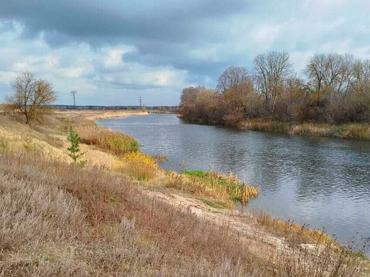 Липецкие экологи оштрафовали компанию на 200 тысяч рублей