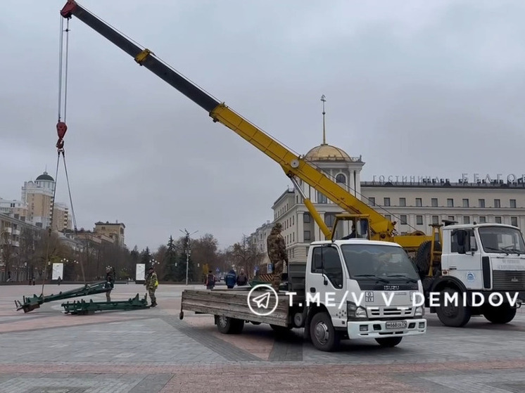 На Соборной площади Белгорода начали устанавливать новогоднюю ель