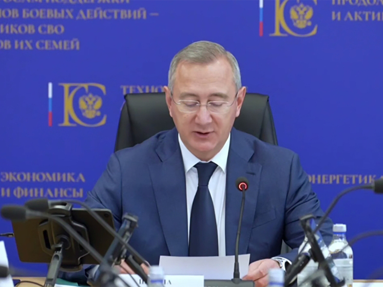 Владислав Шапша рассказал о балансе между экономикой и безопасностью