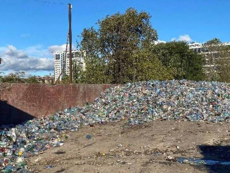 Свалку на Ташкентской улице в Петербурге потребовала убрать прокуратура