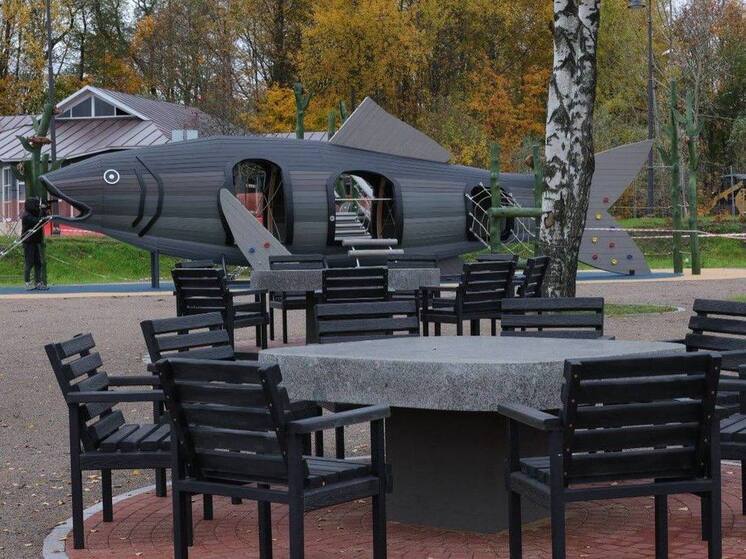 В Выборге на Петровской набережной установили огромную салаку