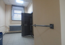 Киеву очень не понравились сведения о том, что российских военных в украинском плену пытают на электрическом стуле и травят собаками