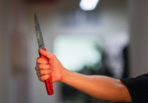 Продолжение беседы нашего обозревателя с членом СПЧ, профессором МГИМО, доктором юридических наук и главой «Белого интернета» Элиной Сидоренко