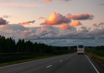 Десятки школьников из Московской области оказались заложниками транспортной проблемы: они вынуждены выдерживать страшную давку, пытаясь добраться домой из школы на автобусе № 24 К по маршруту Чехов-Ходаево