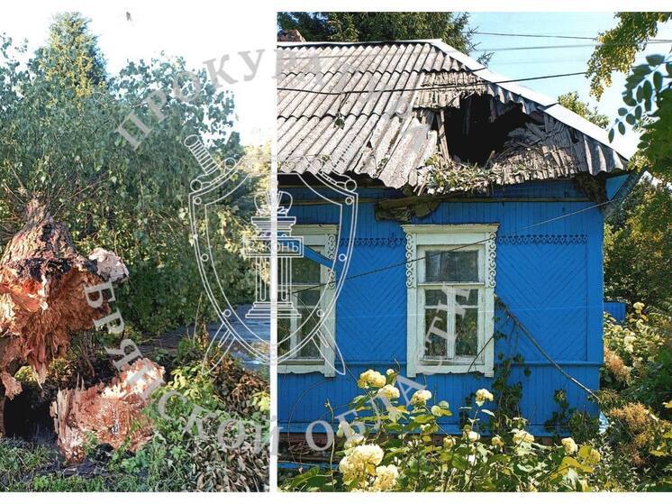 Прокуратура Брянска добивается получения выплат за упавшее дерево