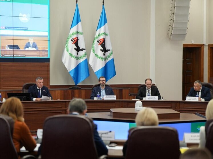 В антикризисный план Иркутской области войдет более 50 мероприятий