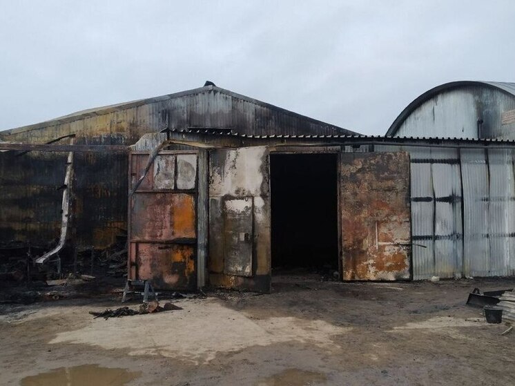 В Ярославской области у фермера сгорело полторы тонны картофеля.