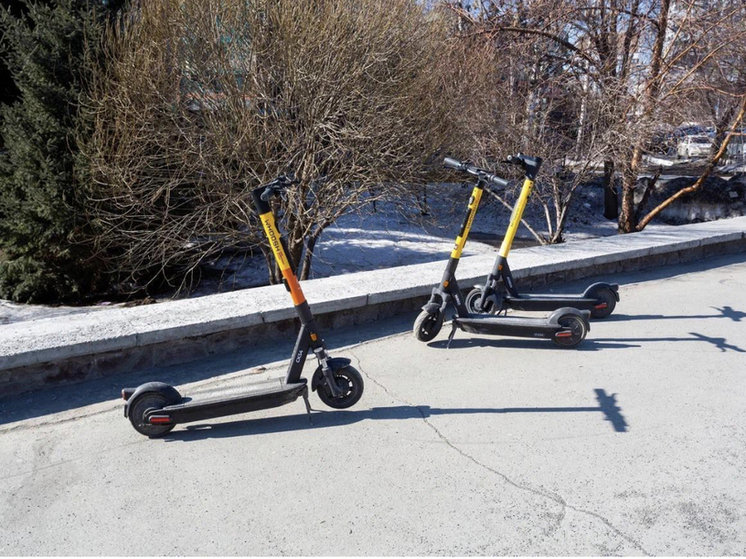 В Новосибирске число ДТП с электросамокатами снизилось более чем вдвое