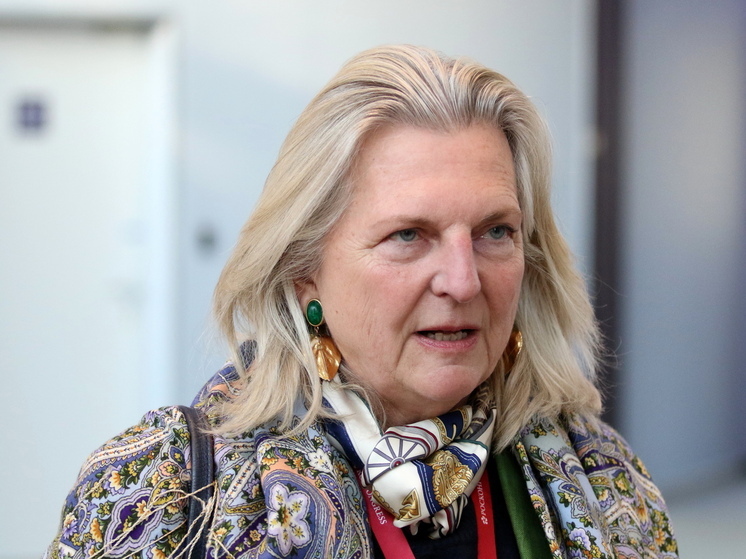 Кнайсль: в РФ сильно недооценивают, насколько большое недоверие к ней к Европе