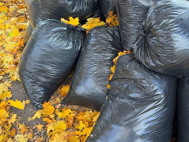 Олег Денисов рассказал о ходе месячника по благоустройству в Пензе