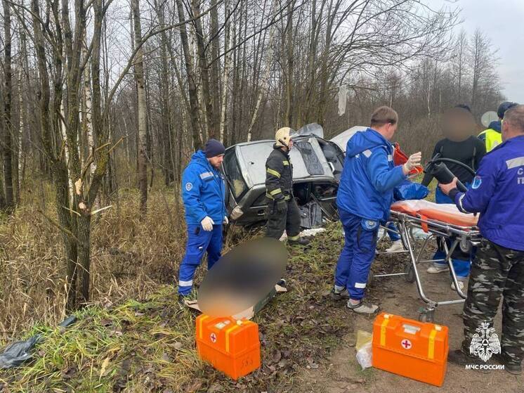 На дороге под Тверью иномарка вылетела в кювет: есть пострадавшие