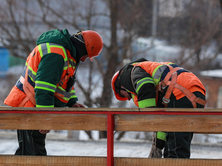 Хозяйка животного пыталась самостоятельно вызволить питомца