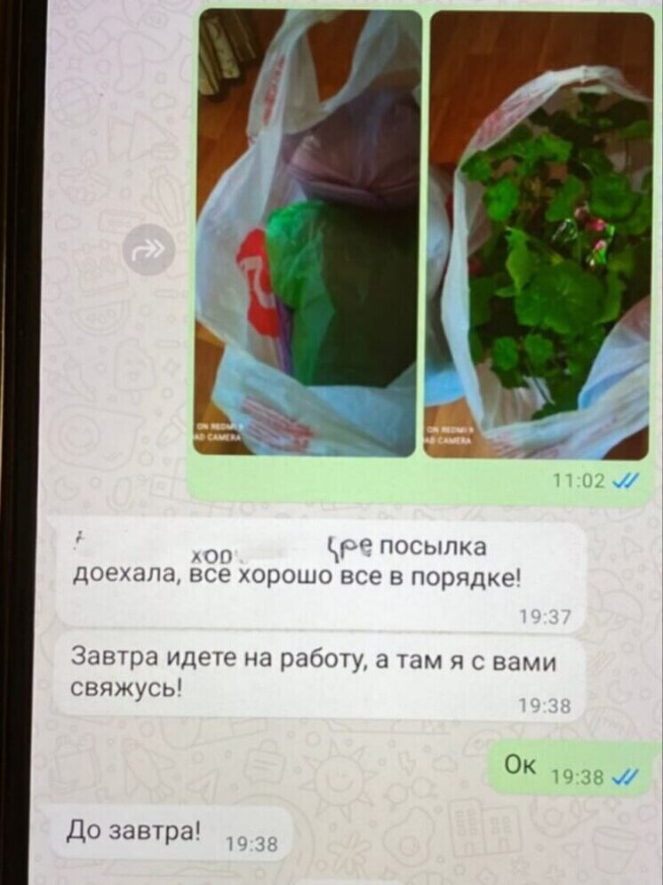 Деньги в цветочном горшке: запуганная жительница Тверской области отдала все свои сбережения мошенникам