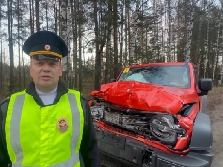 Автоледи на TANKе насмерть сбила пешехода в Нижегородской области