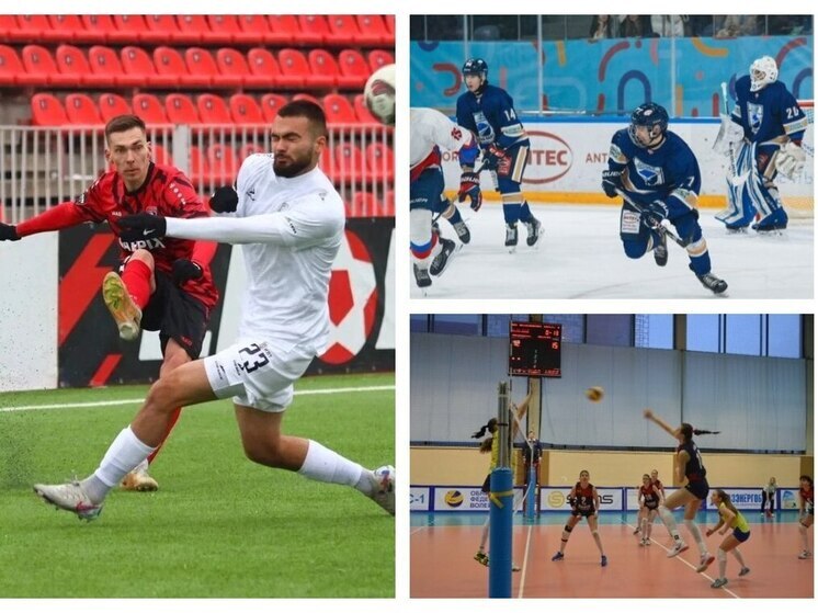 На профессиональные спортклубы Калужской области выделено 45,8 млн рублей