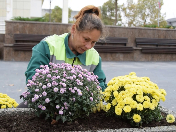 Площадь Ленина в Симферополе украсят более 200 кустов хризантем