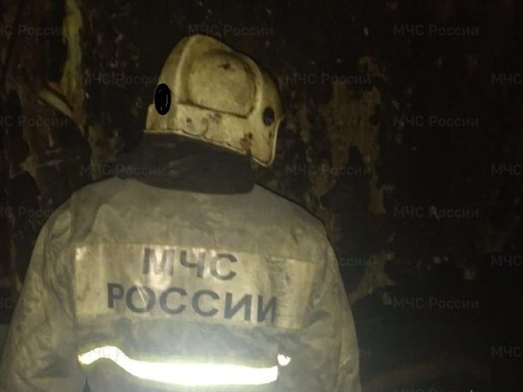 Человек погиб при пожаре в Серове