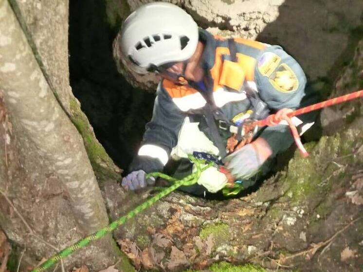 В горах под Лабинском спасатели достали мини-шнауцера из 10-метровой расщелины
